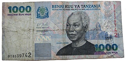Tanzanian shilling